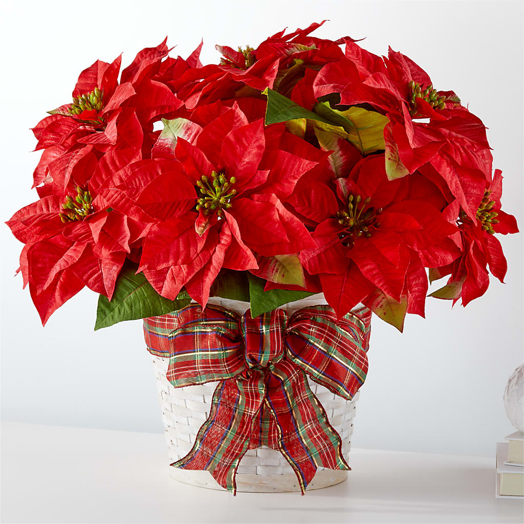 Happiest Holidays Vibrant Red Poinsettia in Woven Basket