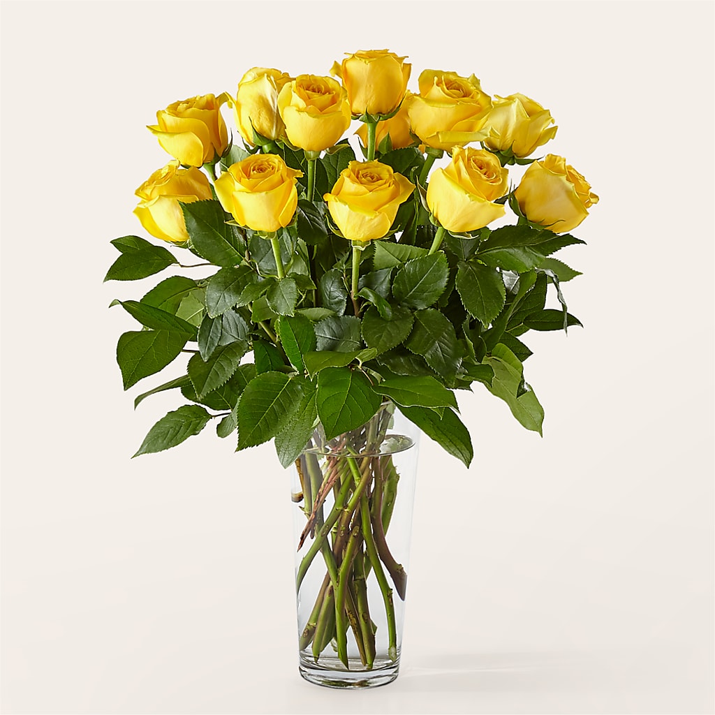 Elegant Long Stem Bright Yellow Rose Bouquet With Fresh Foliage