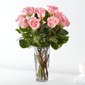 Elegant Long Stem Pink Rose Bouquet Fresh Floral Arrangement